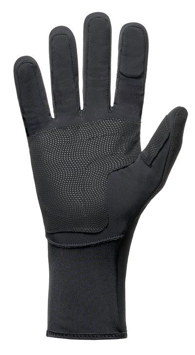 Extreme Winter Long Glove